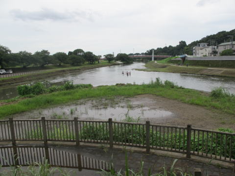 新河岸川（左）と柳瀬川（右）の合流地点、下流方面を望む