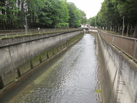 栗原橋付近 （左はオセド山、右は城北公園、かつて栗原堰があり「あげ堀」が引かれていた）