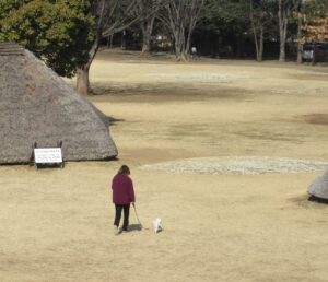 貝塚公園