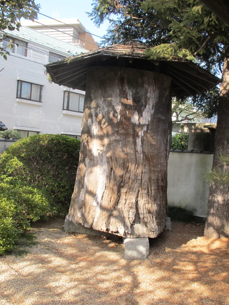 平櫛田中邸宅にある彫刻原木のクスノキ
