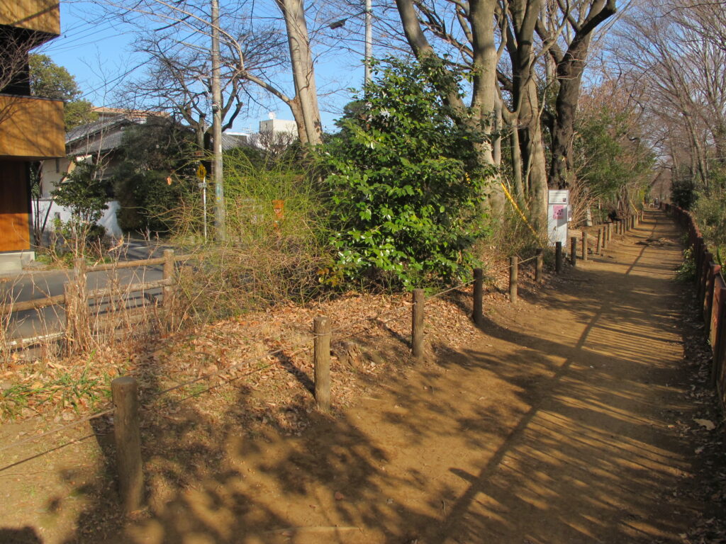 平櫛田中美術館となりの玉川上水の遊歩道