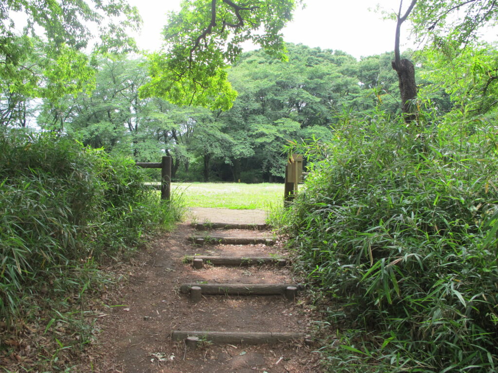 遊歩道から望む赤塚城本丸跡