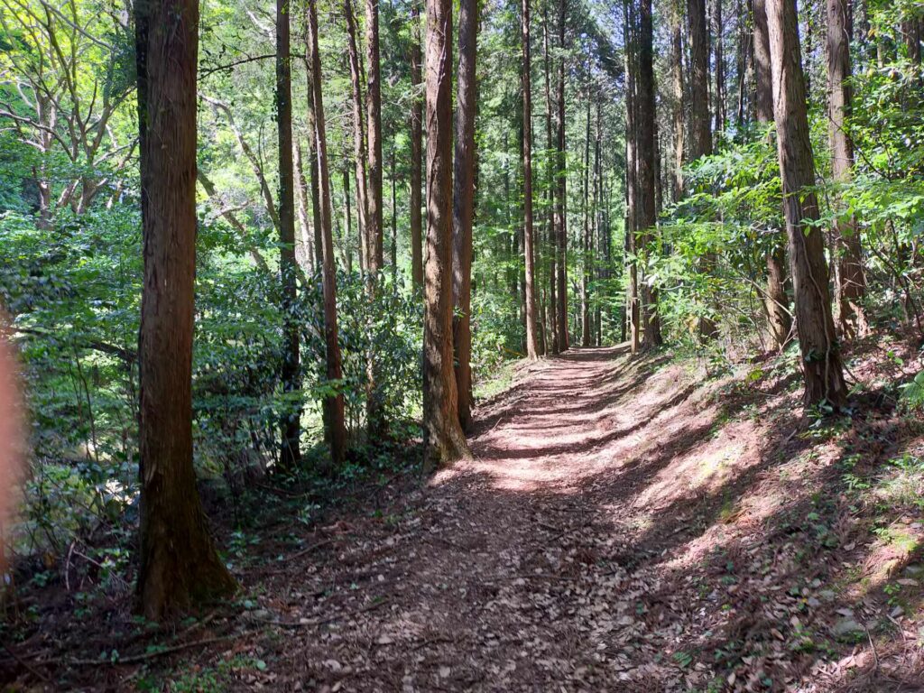 風のみち遊歩道