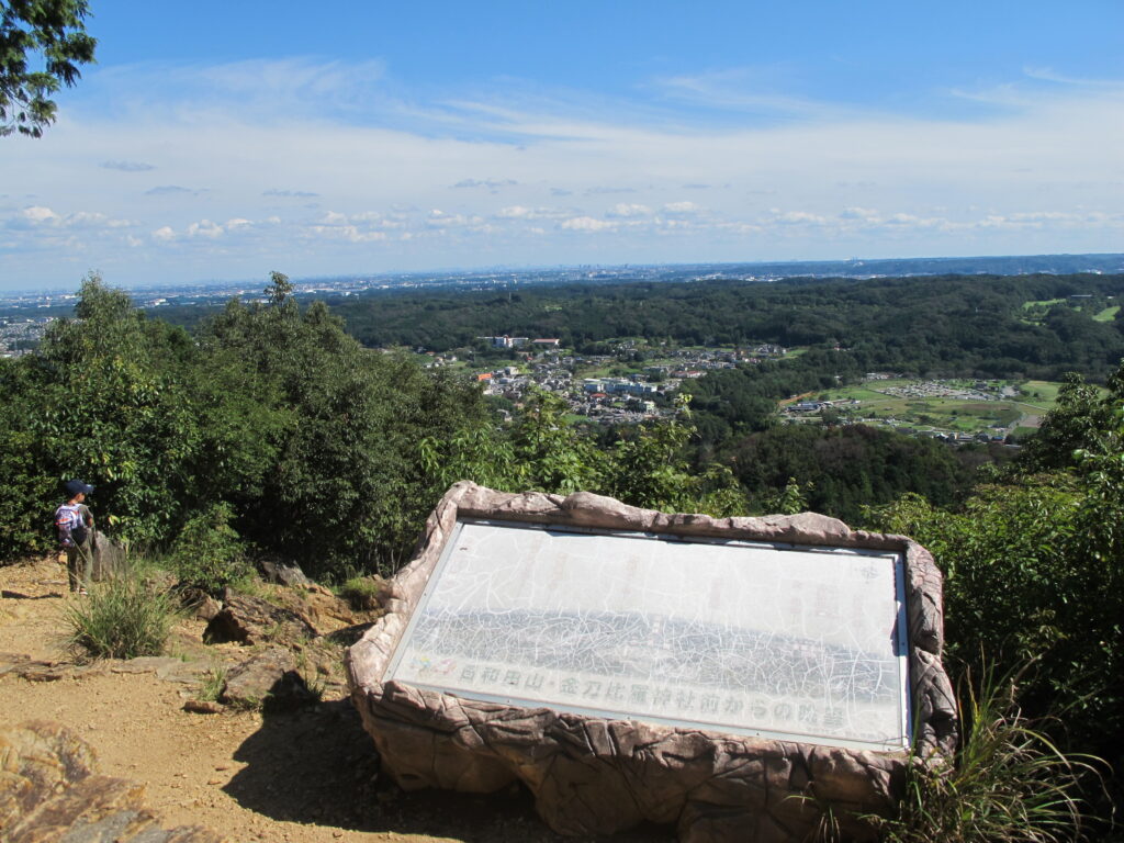 日和田山からの眺望