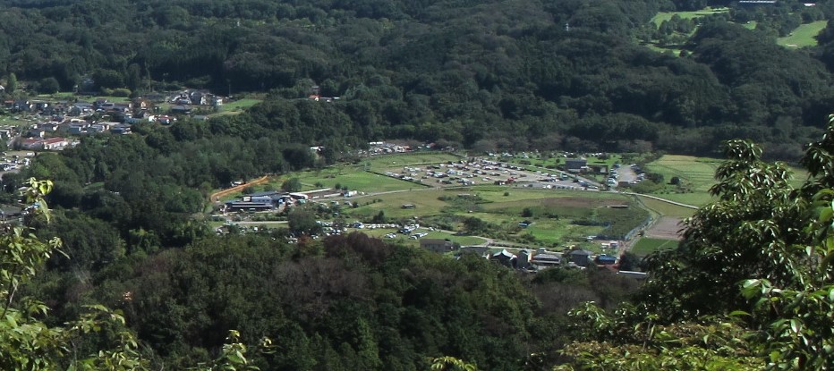 巾着田全景