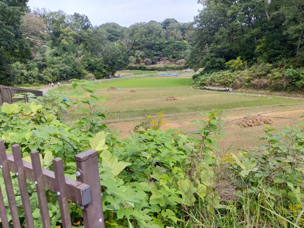 寺家ふるさと村田園