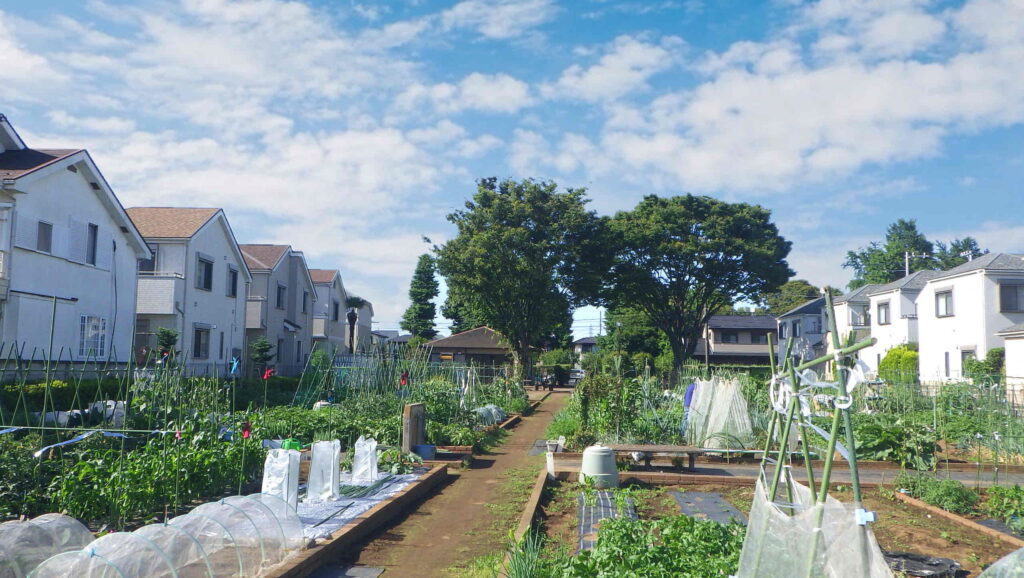 区民農園