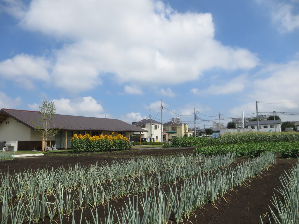 高松みらいのはたけ