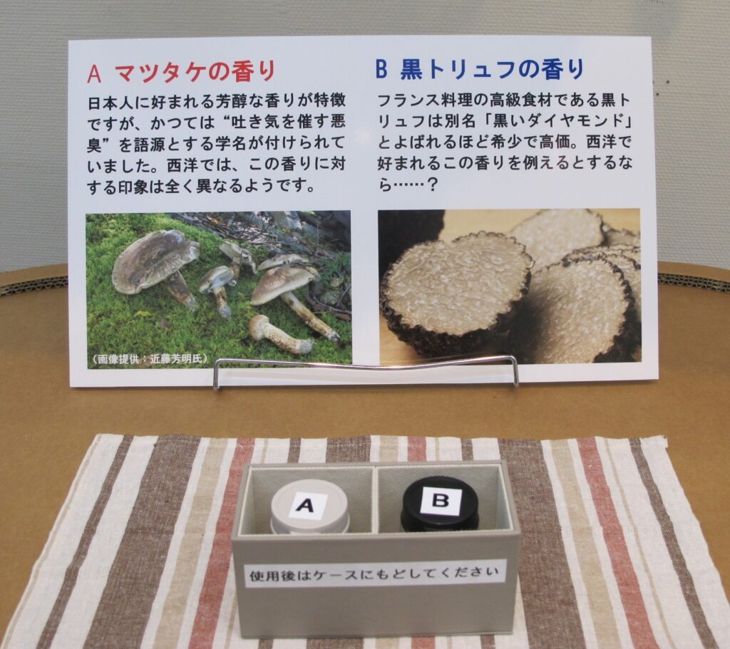 マツタケとトリュフの香り