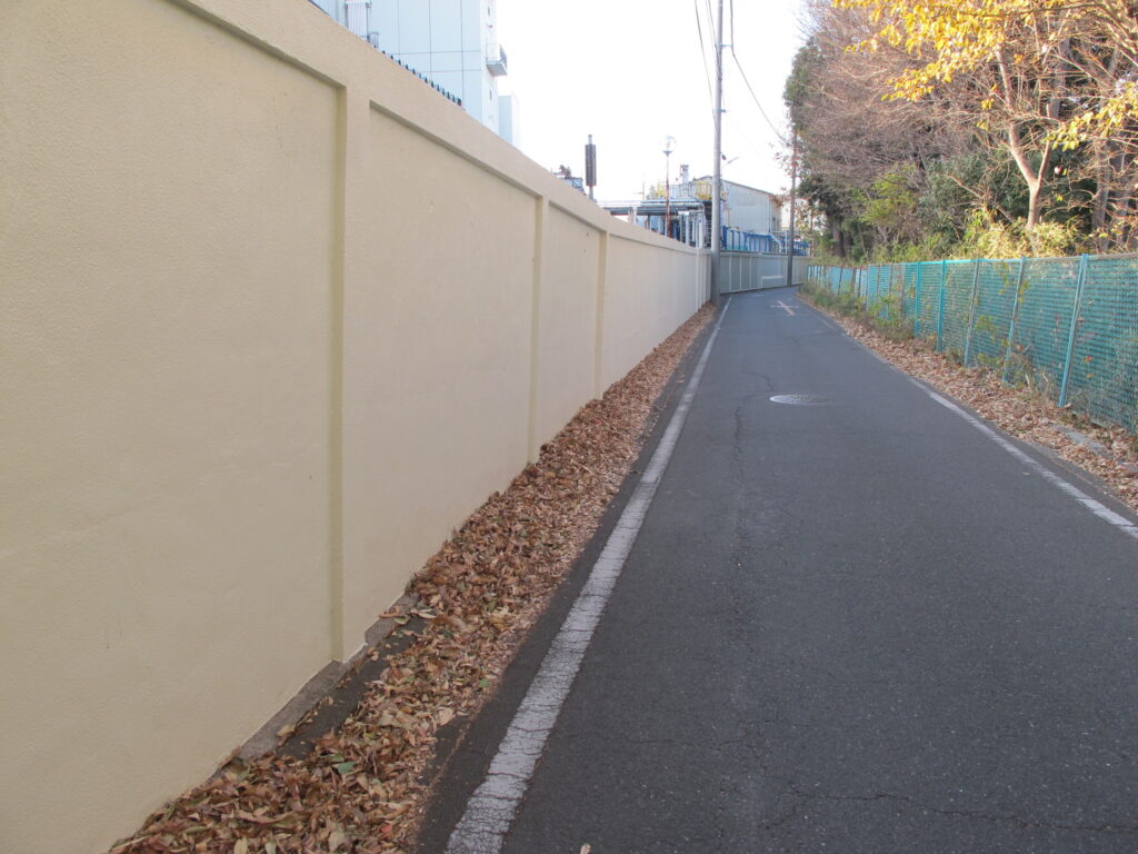 右側は新河岸川