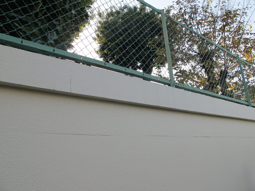 塀の内側に樹木