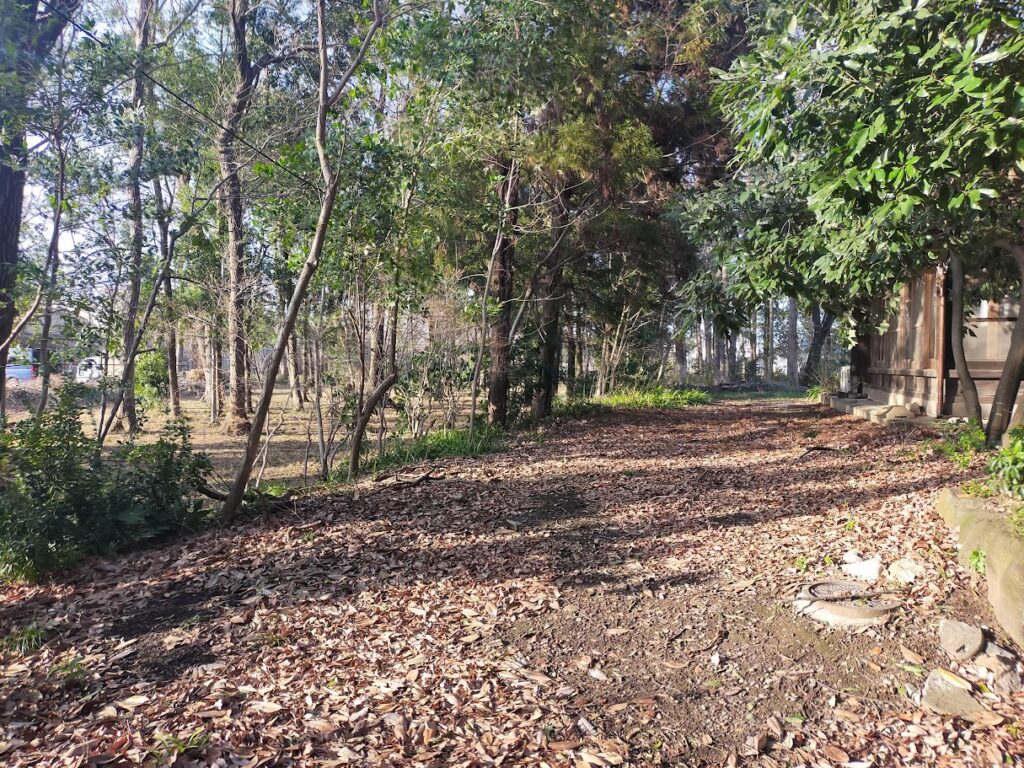 カフェ周りに広がる雑木林