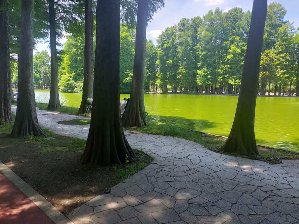別所沼