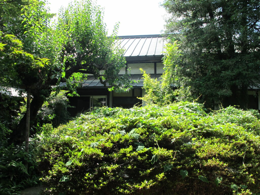 主屋